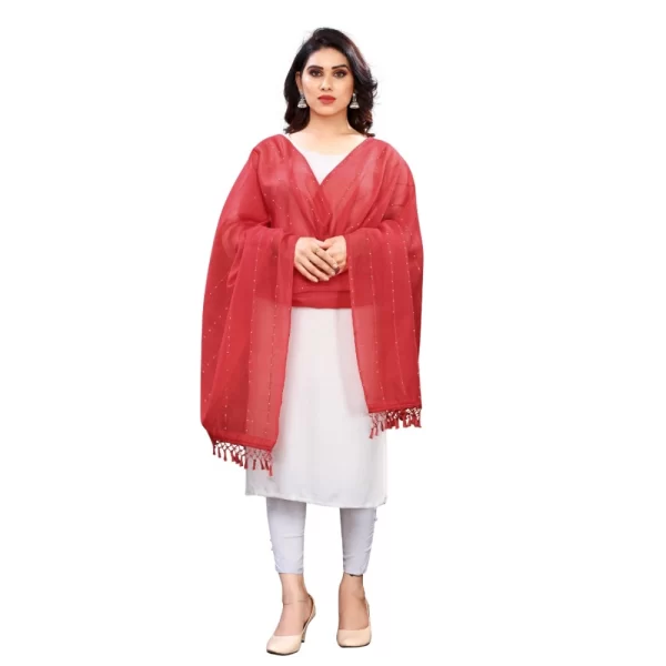 Generic Women's Cotton Silk Strips Printed Dupatta (Maroon, Length:2-2.4 mtr)