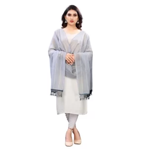 Generic Women’s Cotton Silk Strips Printed Dupatta (Grey, Length:2-2.4 mtr)