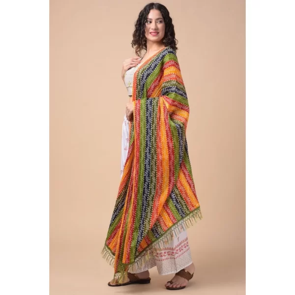 Women's Chanderi Printed Dupatta (Multicolor, Length: 2.25 to 2.50 Mtr)