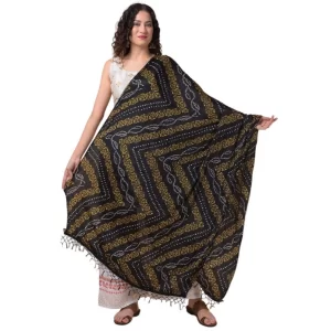 Generic Women’s Chanderi Printed Dupatta (Multicolor, Length: 2.25 to 2.50 Mtr)