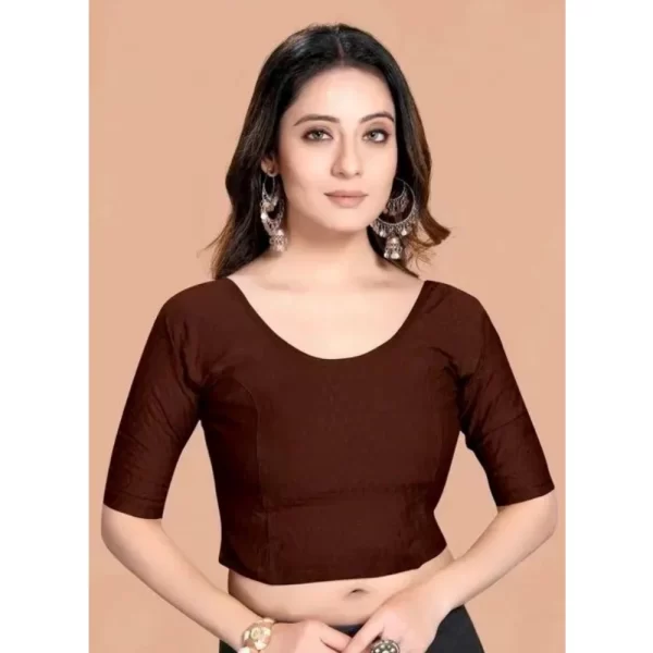 Pack Of_2 Women's Hosiery Short Sleeves Round Neck Non-Padded Blouse (Brown)