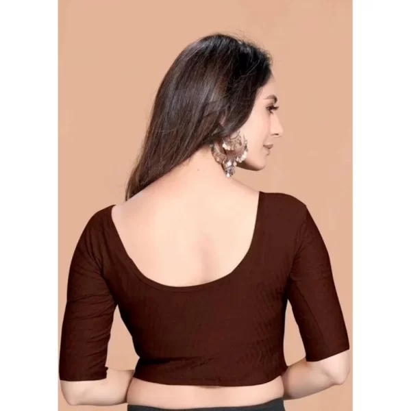 Pack Of_2 Women's Hosiery Short Sleeves Round Neck Non-Padded Blouse (Brown)